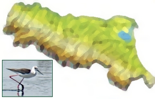 Birdwatching in Emilia Romagna